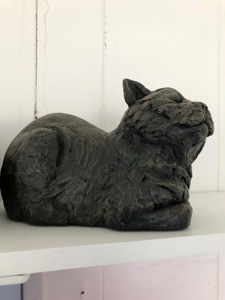 Cat Token Ashes
