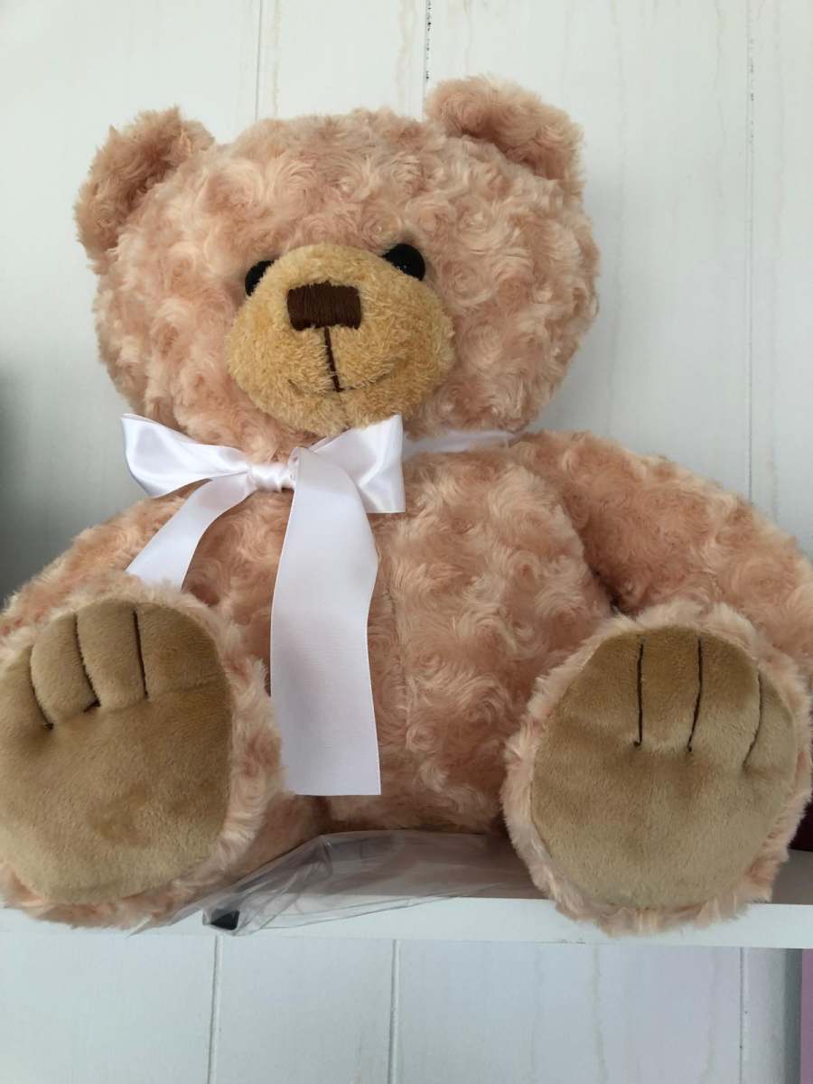Teddy token Ashes
